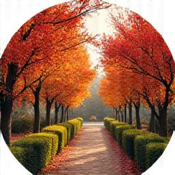 가을 단풍으로 물든 정원의 풍요로운 모습