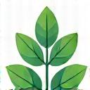 깨끗한 공기를 상징하는 식물과 맑은 하늘